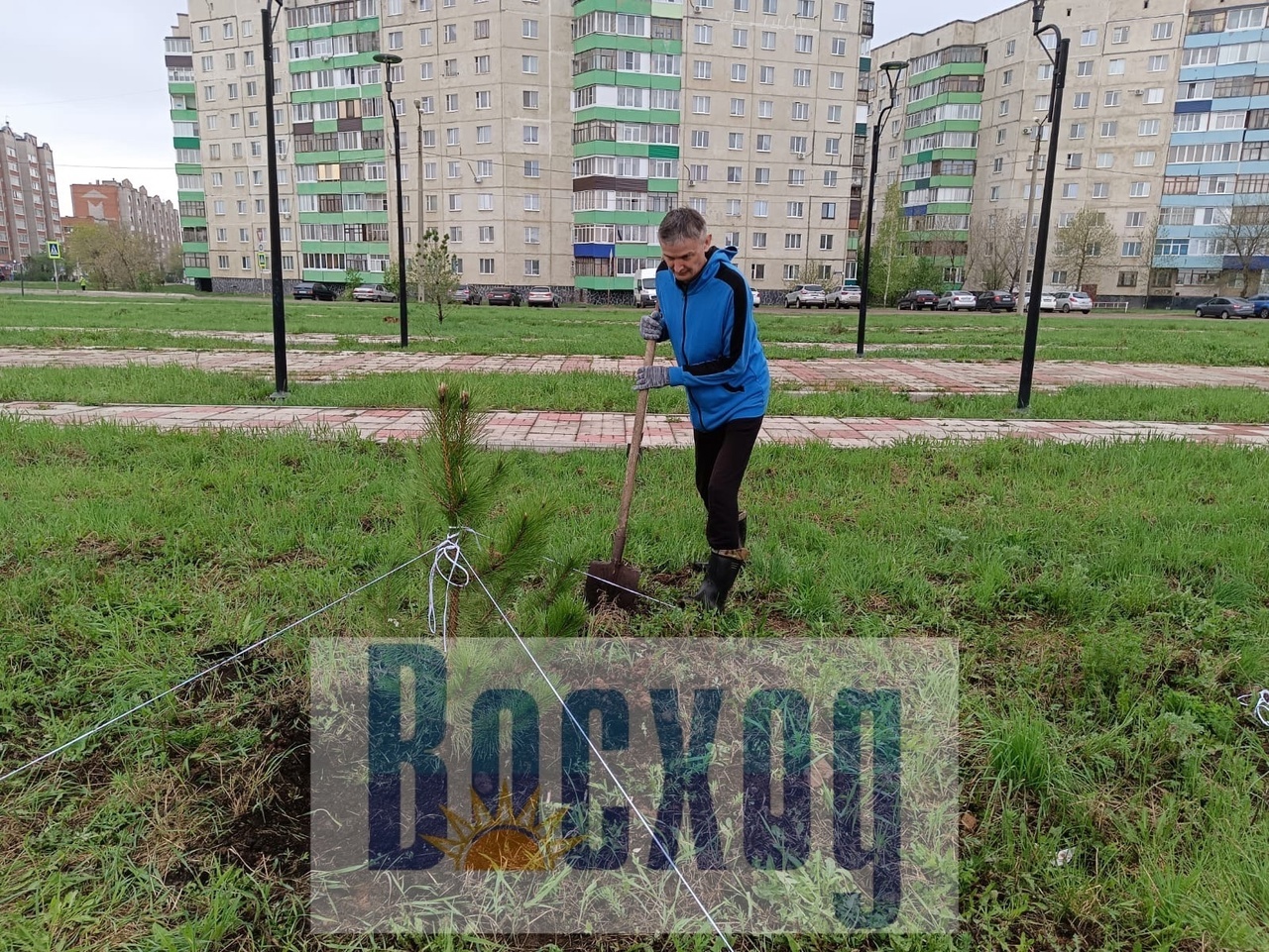 Ишимбайцы присоединились к акции "Зелёная Башкирия"