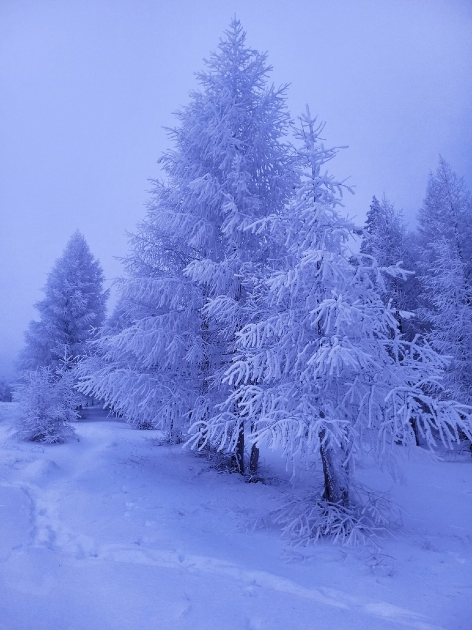 Башкирию ждет сильный снег, метель и ветер