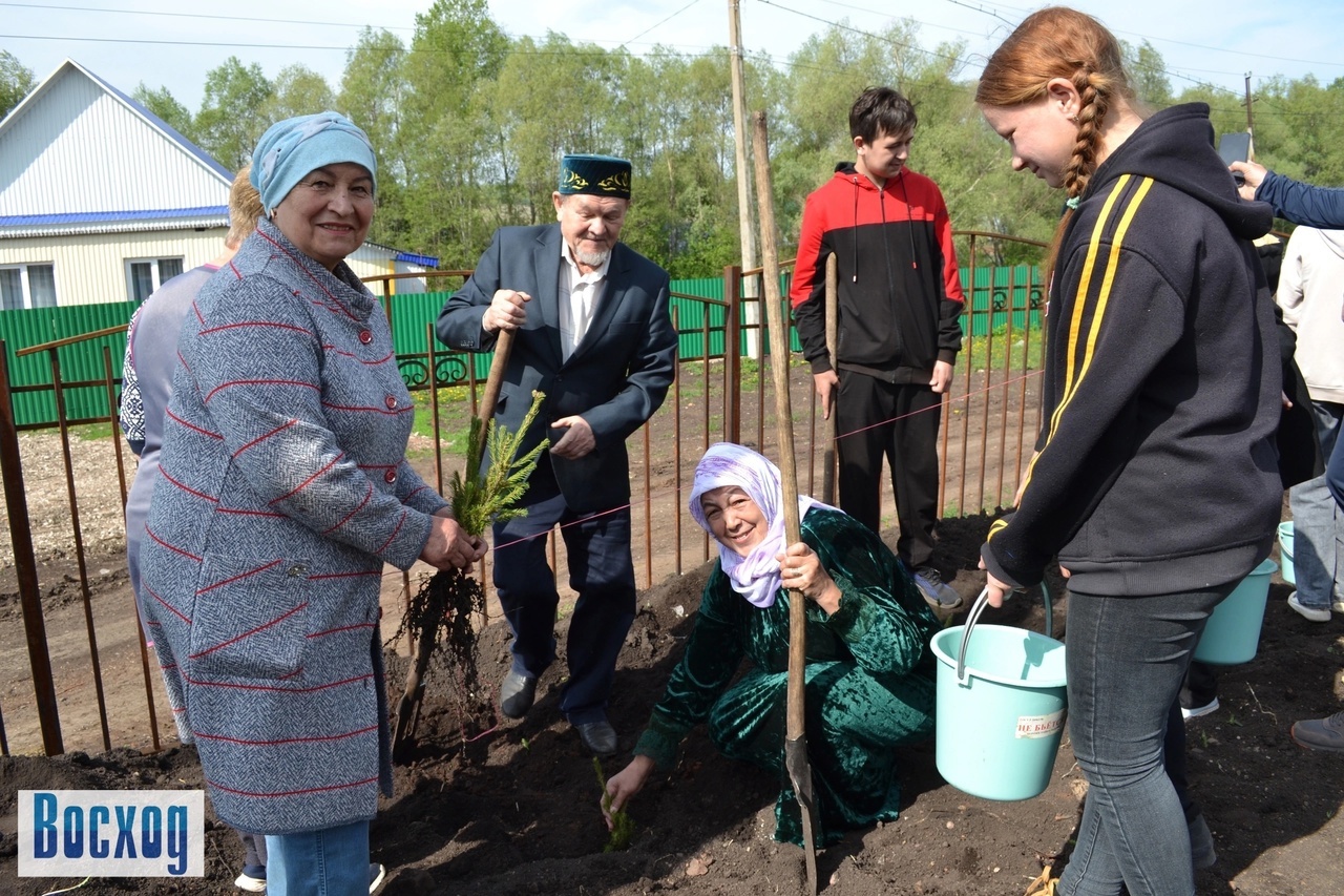 В селе Кинзебулатово посадили ели в память о фронтовиках