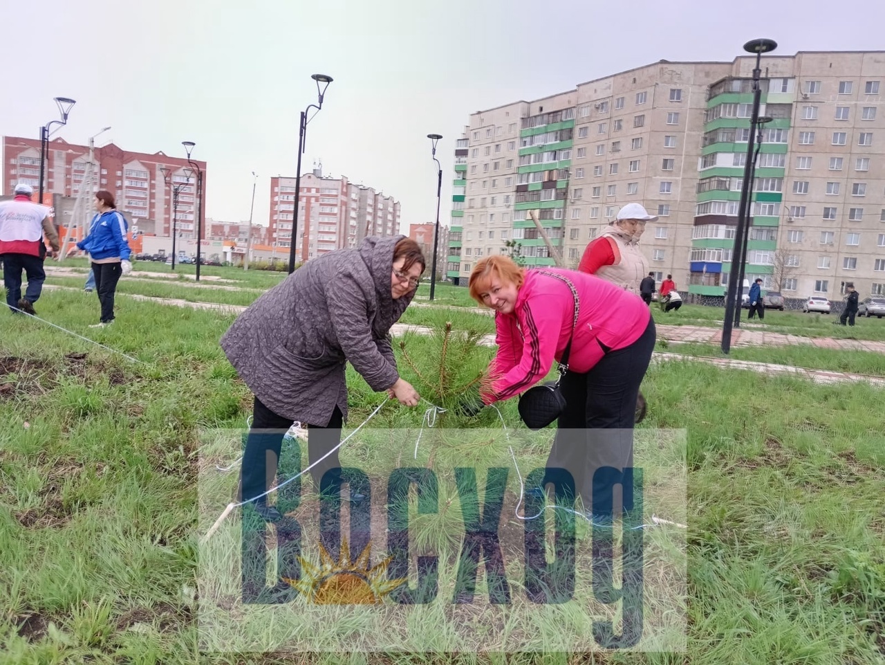 Ишимбайцы присоединились к акции "Зелёная Башкирия"