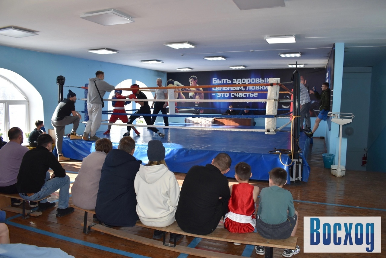 В Ишимбае боксёры соревновались в честь Дня защитника Отечества