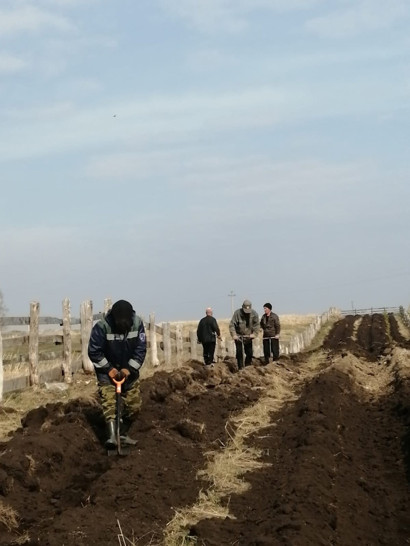 Село Сайраново Ишимбайского района участвует в акции «Зелёная Башкирия»