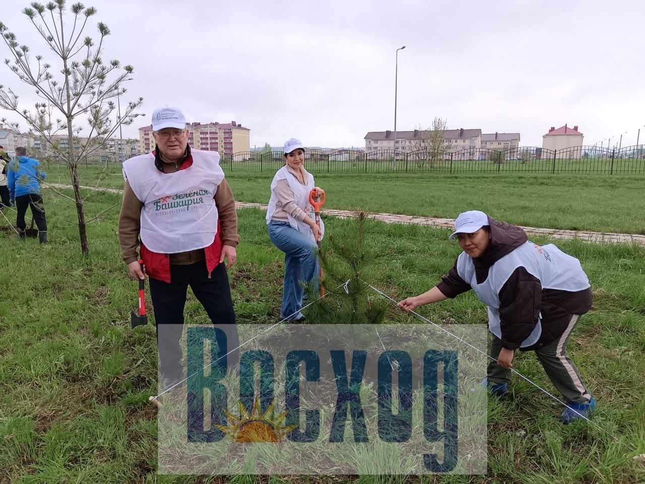Ишимбайцы присоединились к акции "Зелёная Башкирия"