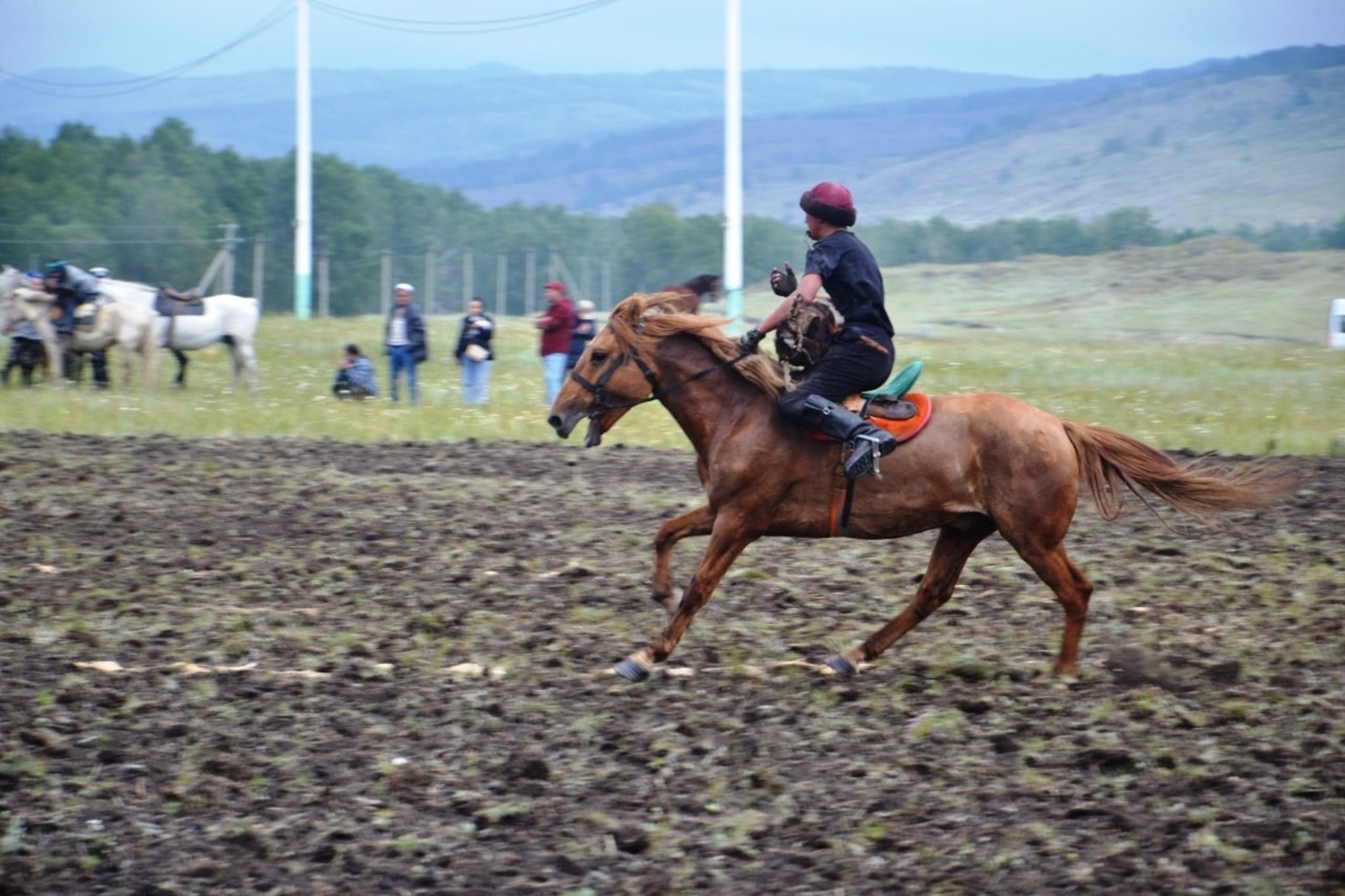 Гостья фестиваля в Баймакском районе рассказала о значении лошади для башкир