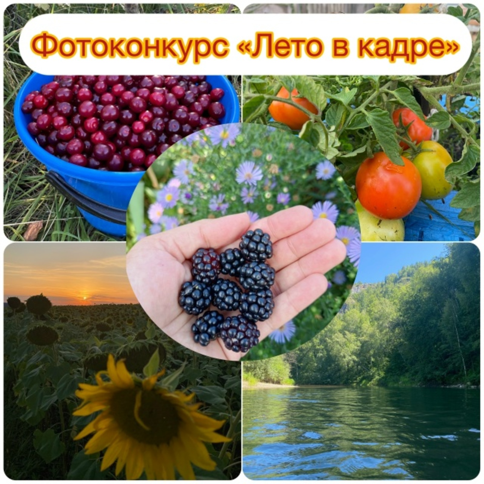 А вот и победители нашего фотоконкурса «Лето в кадре»!