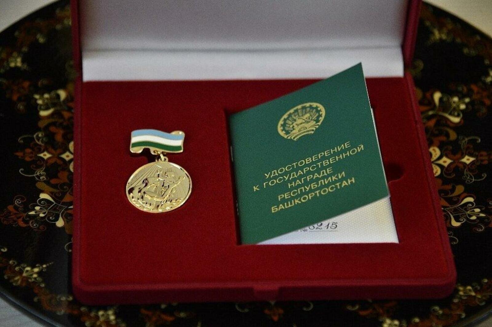 В Башкирии 17 женщин получат медаль «Материнская слава»