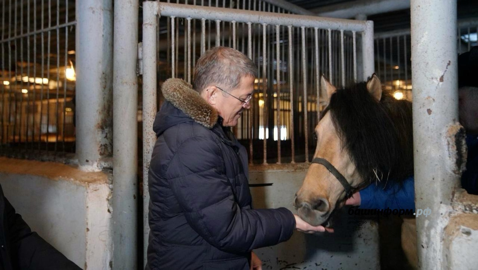 Глава Башкирии сообщил, что в республике появится Центр лошадей