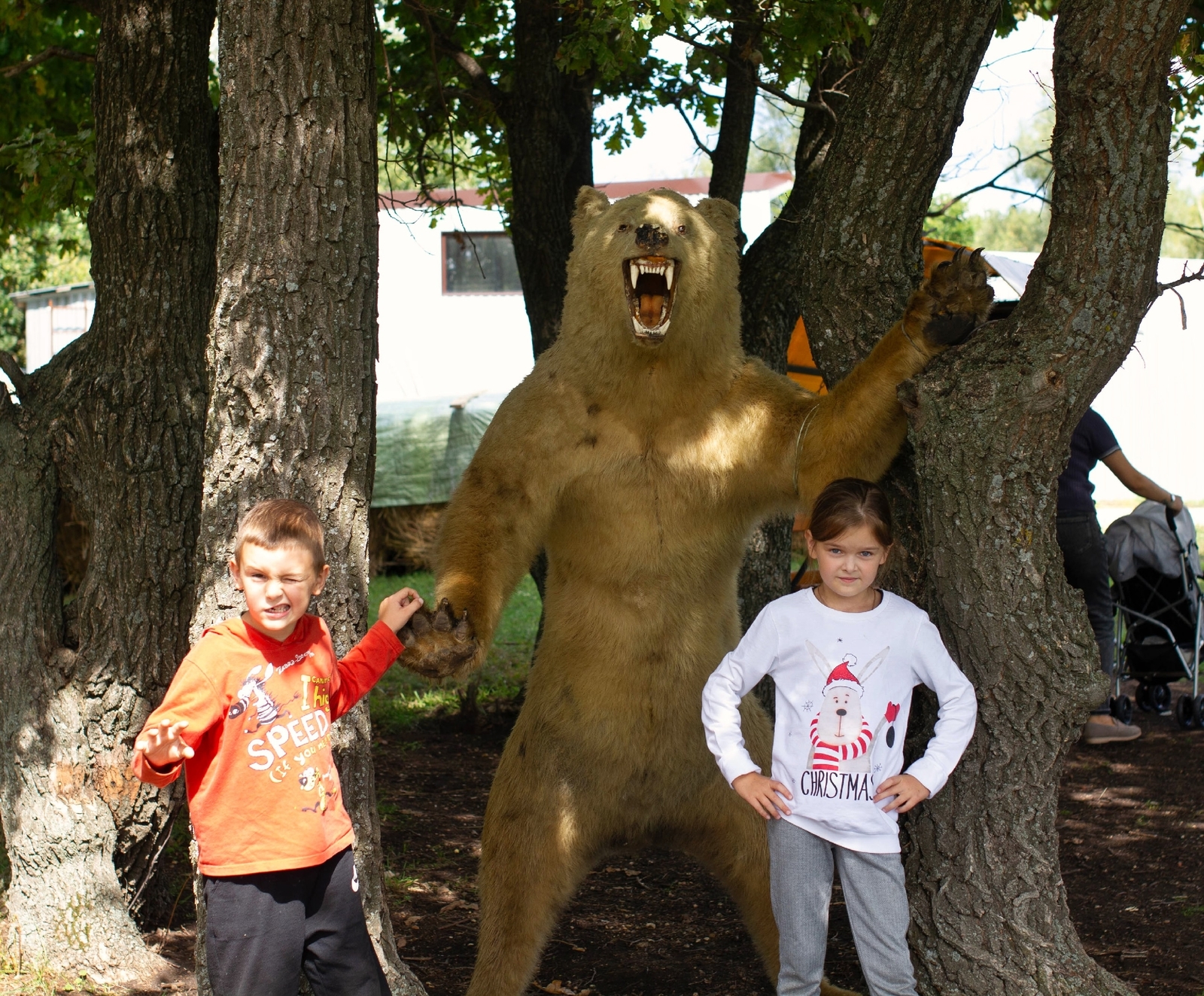 Среди красивейших цветов