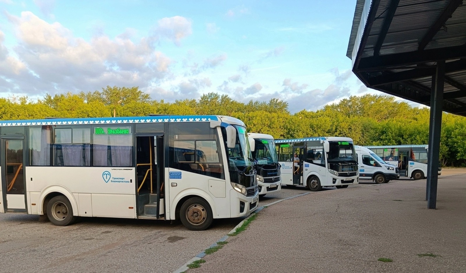 В Башкирии дети бойцов СВО смогут бесплатно ездить на общественном транспорте