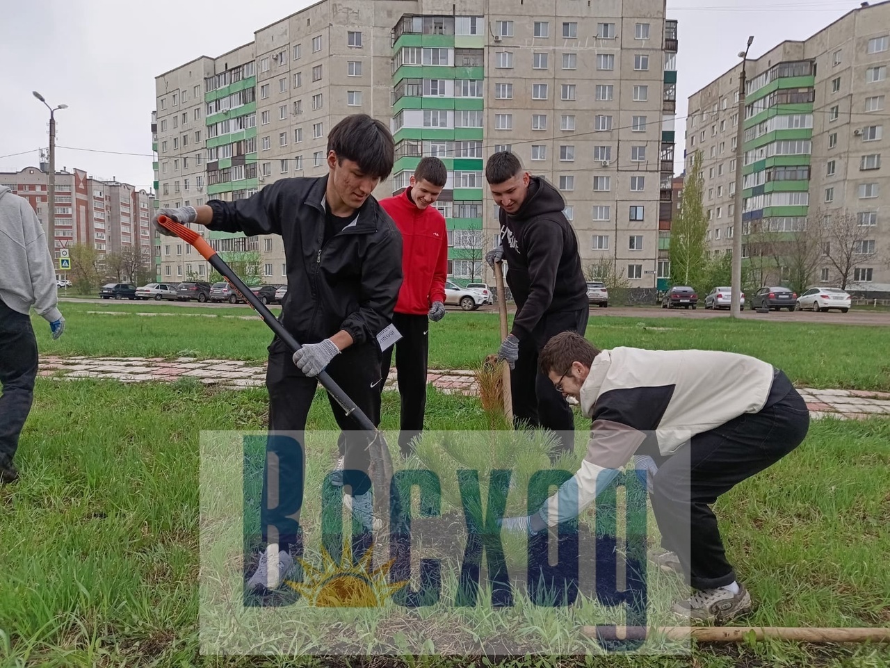 Ишимбайцы присоединились к акции "Зелёная Башкирия"