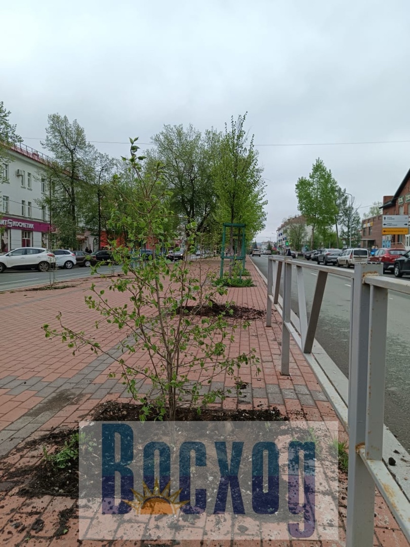 Ишимбайцы присоединились к акции "Зелёная Башкирия"