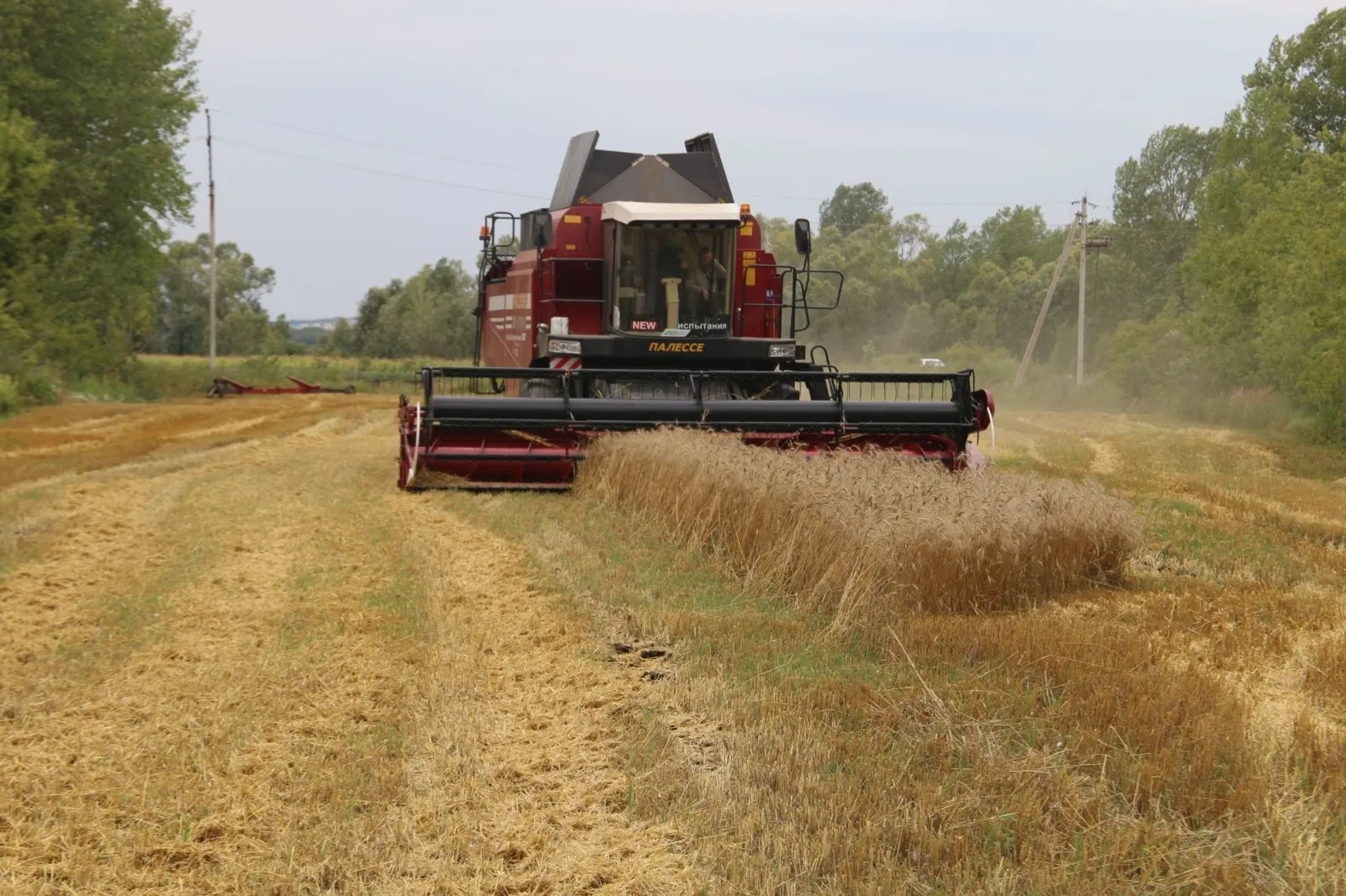 В Башкирии выросло производство в фермерских хозяйствах