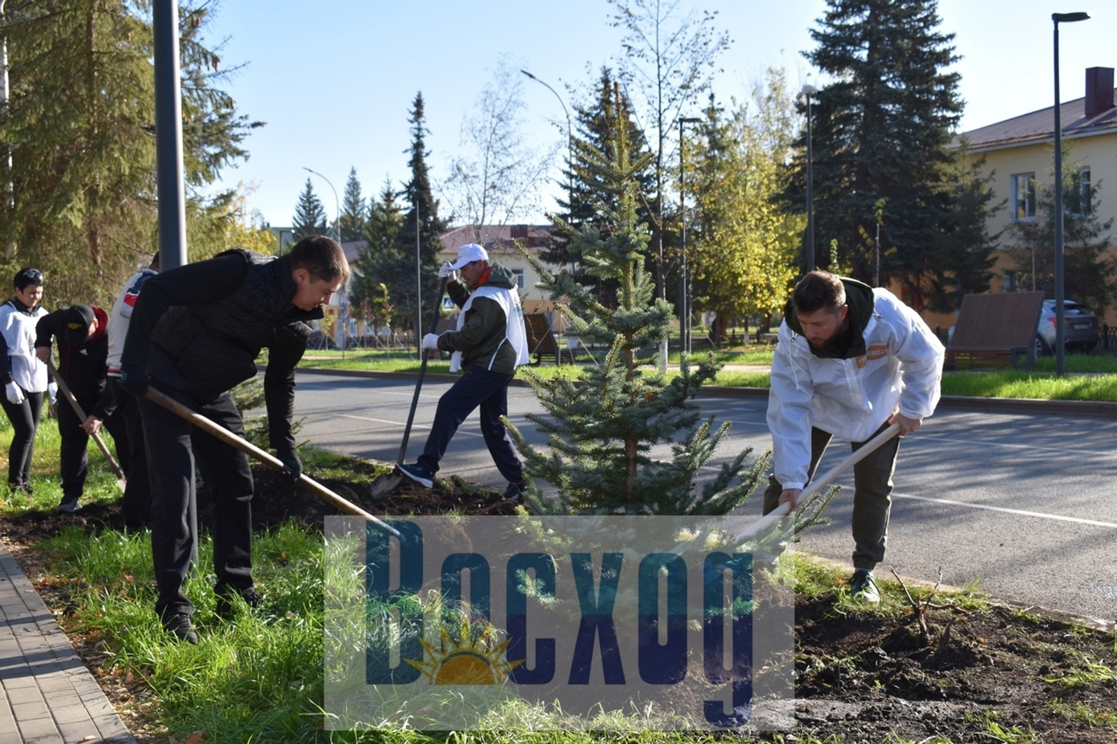 Этой весной Ишимбай украсят 300 юных груш и других деревьев