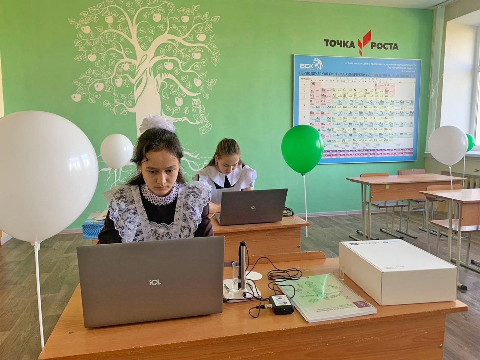 В Башкирии выпускники школ и учителя получат премии