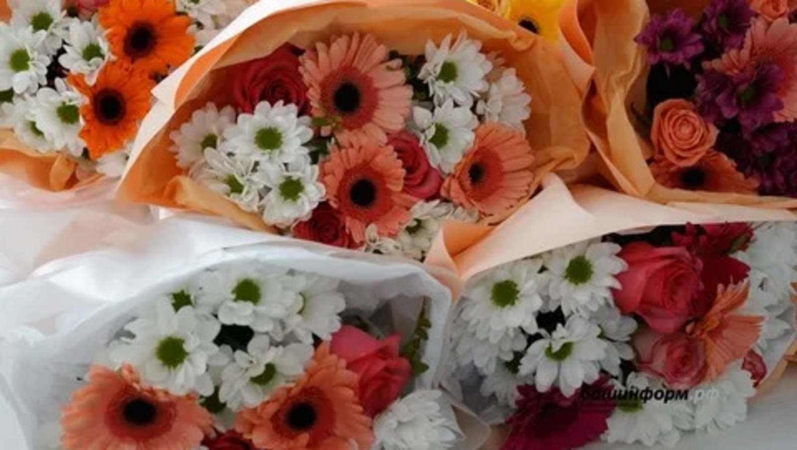 Владимир Путин подписал указ о награждении жителей Башкирии госнаградами