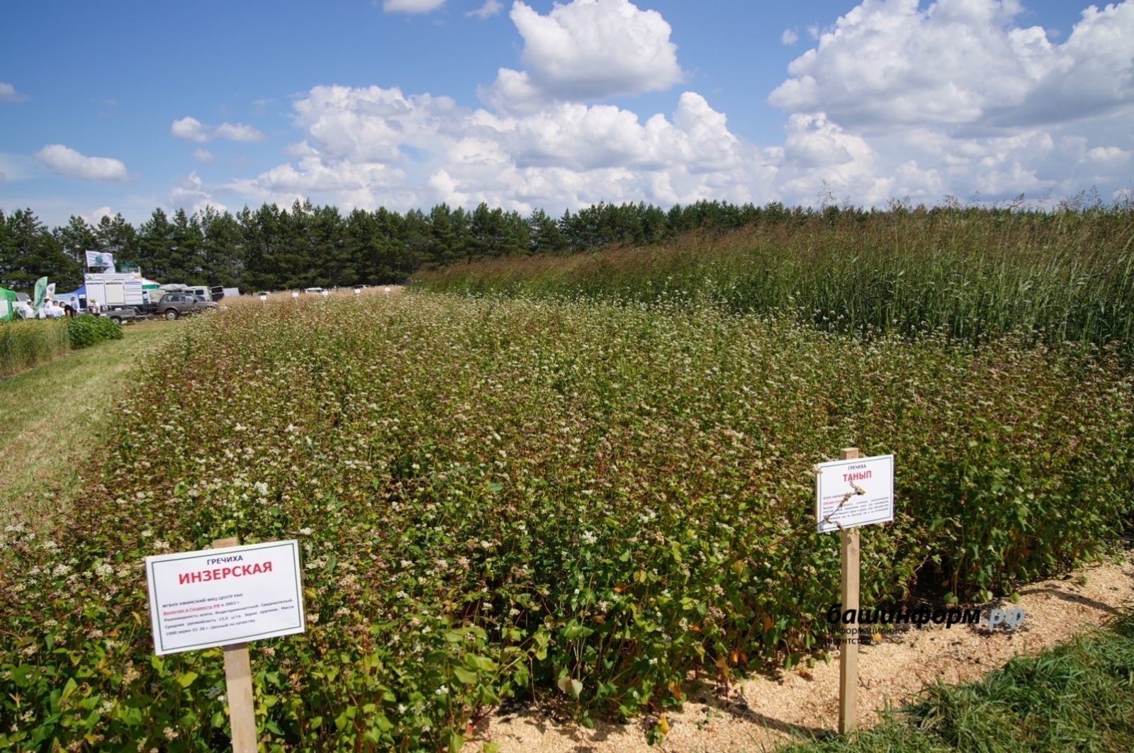 Швейцария предпочла крупы из Башкирии