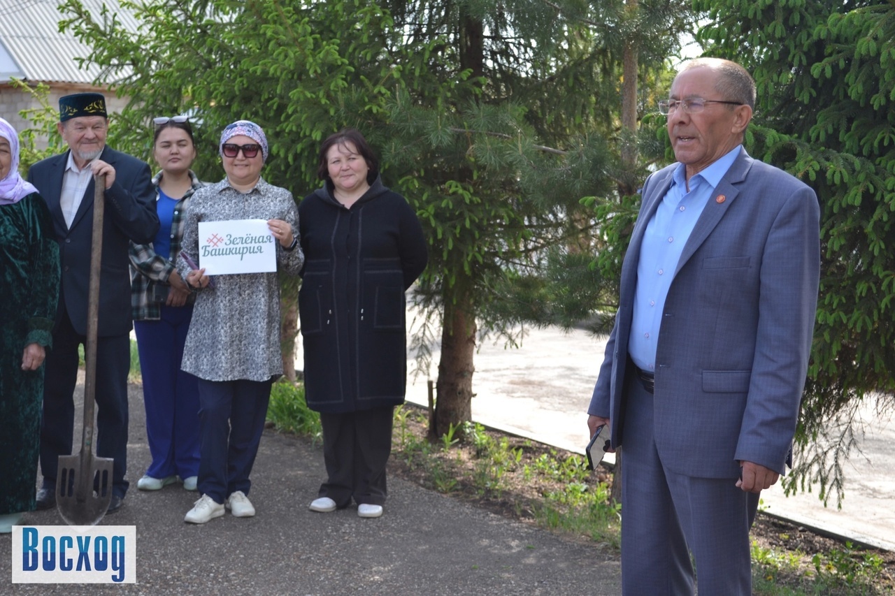 В селе Кинзебулатово посадили ели в память о фронтовиках