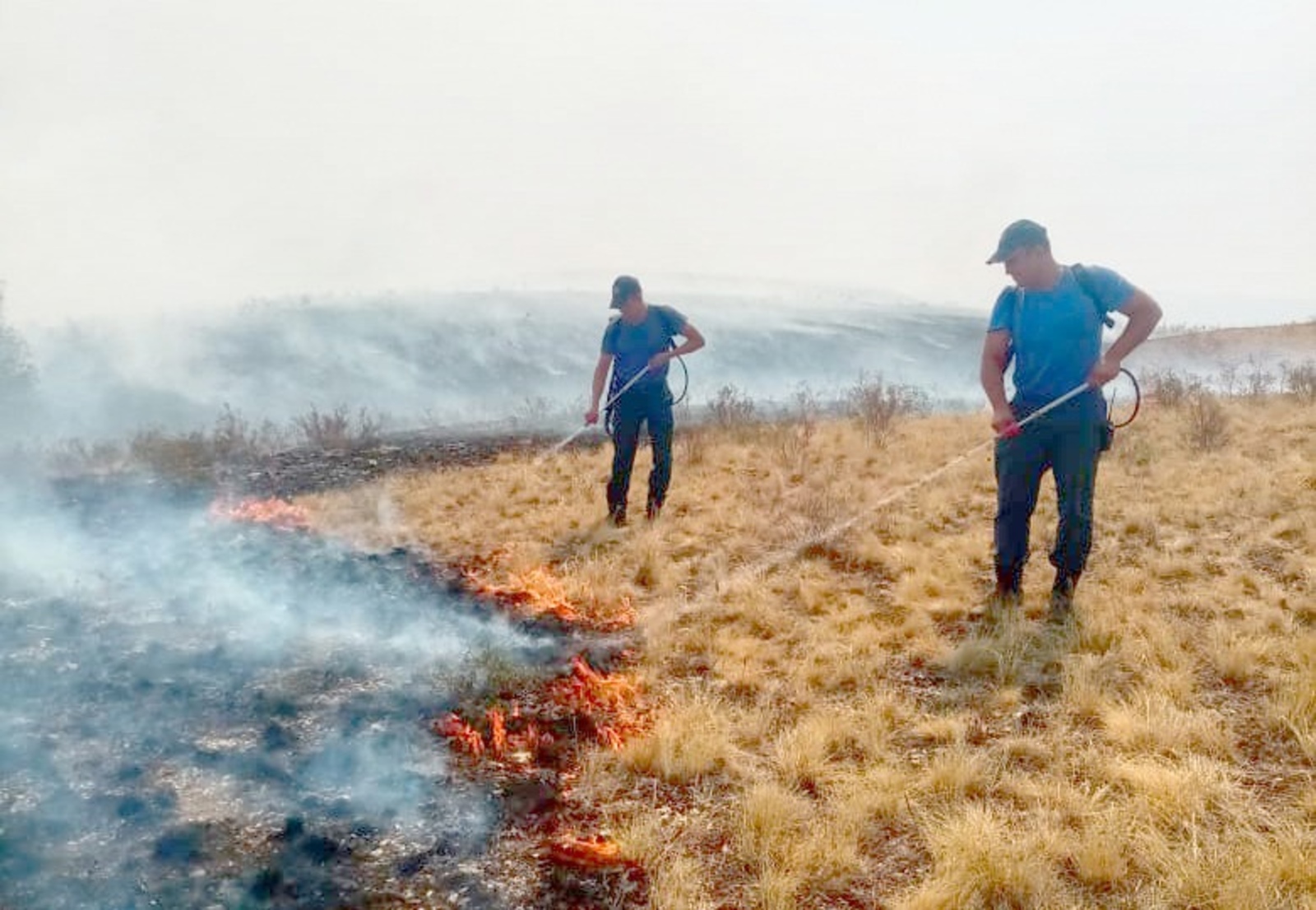 Очаги лесных пожаров в Башкирии локализуются